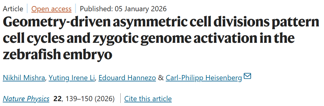 My postdoc study